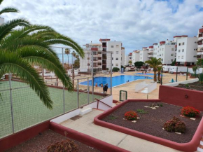 Palmeras del Sur